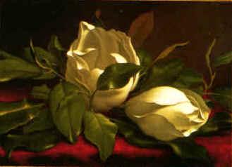 Martin Johnson Heade Magnolia hgh France oil painting art